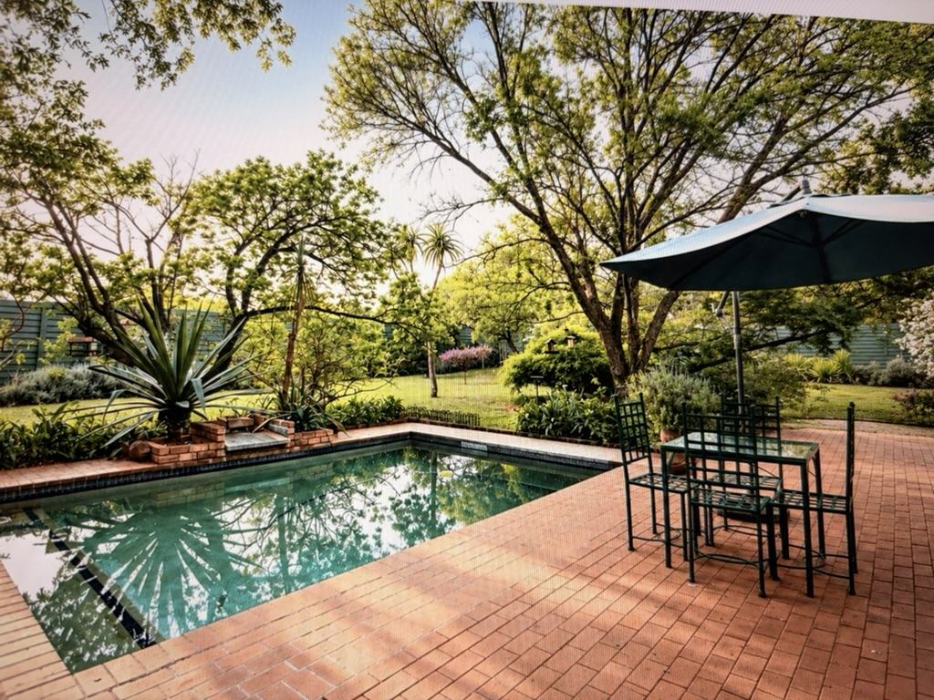 The pool with a shade umbrella and patio seating in the garden
